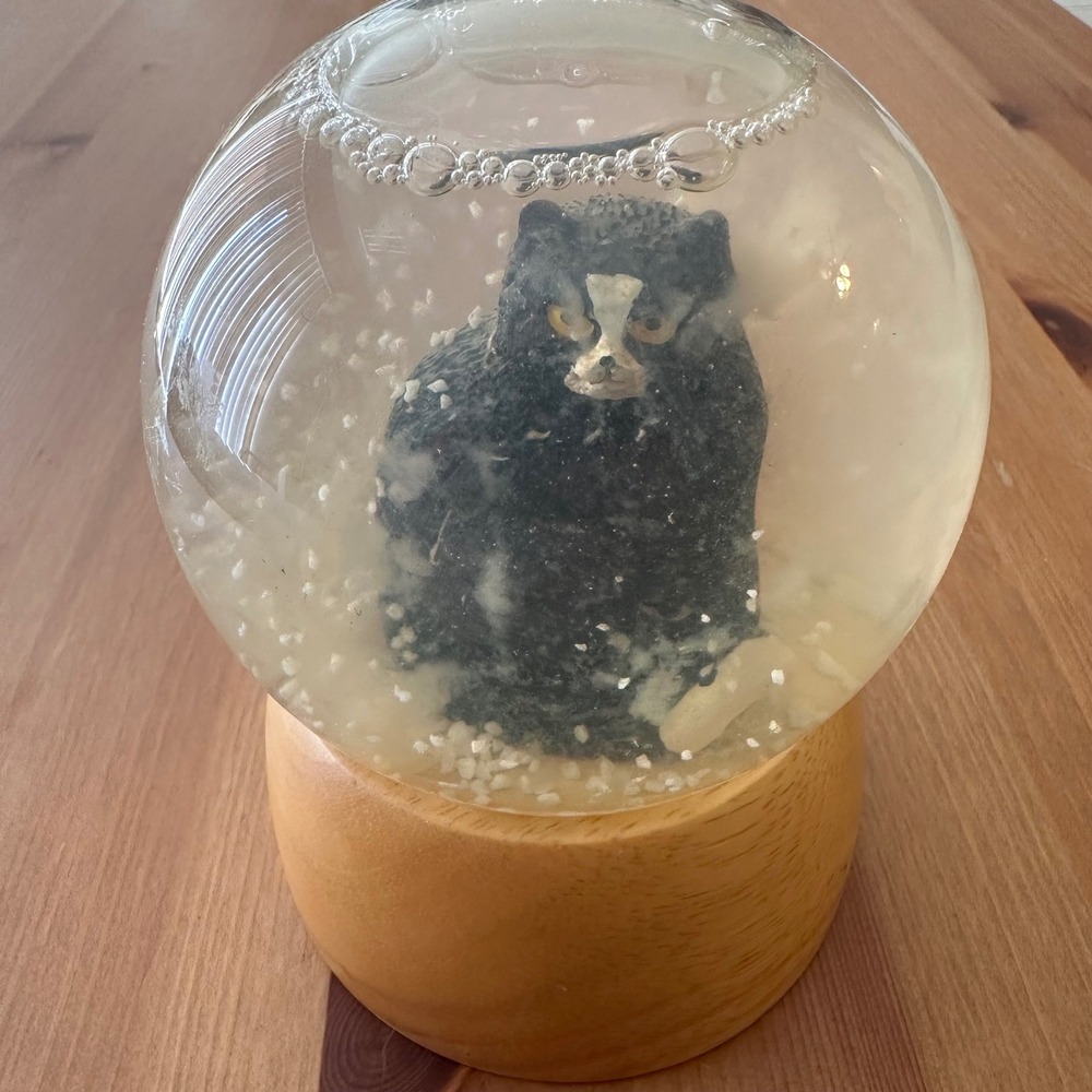 Pottery Barn Tuxedo Cat Snow Globe Wood Base Black White Grumpy Kitty Decor